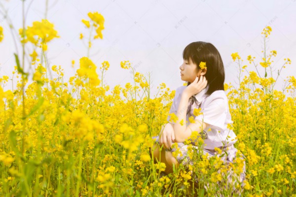 东阿复方阿胶浆：古方新解，神奇疗效与作用深度剖析